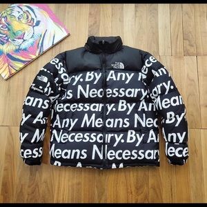 The north face jacket